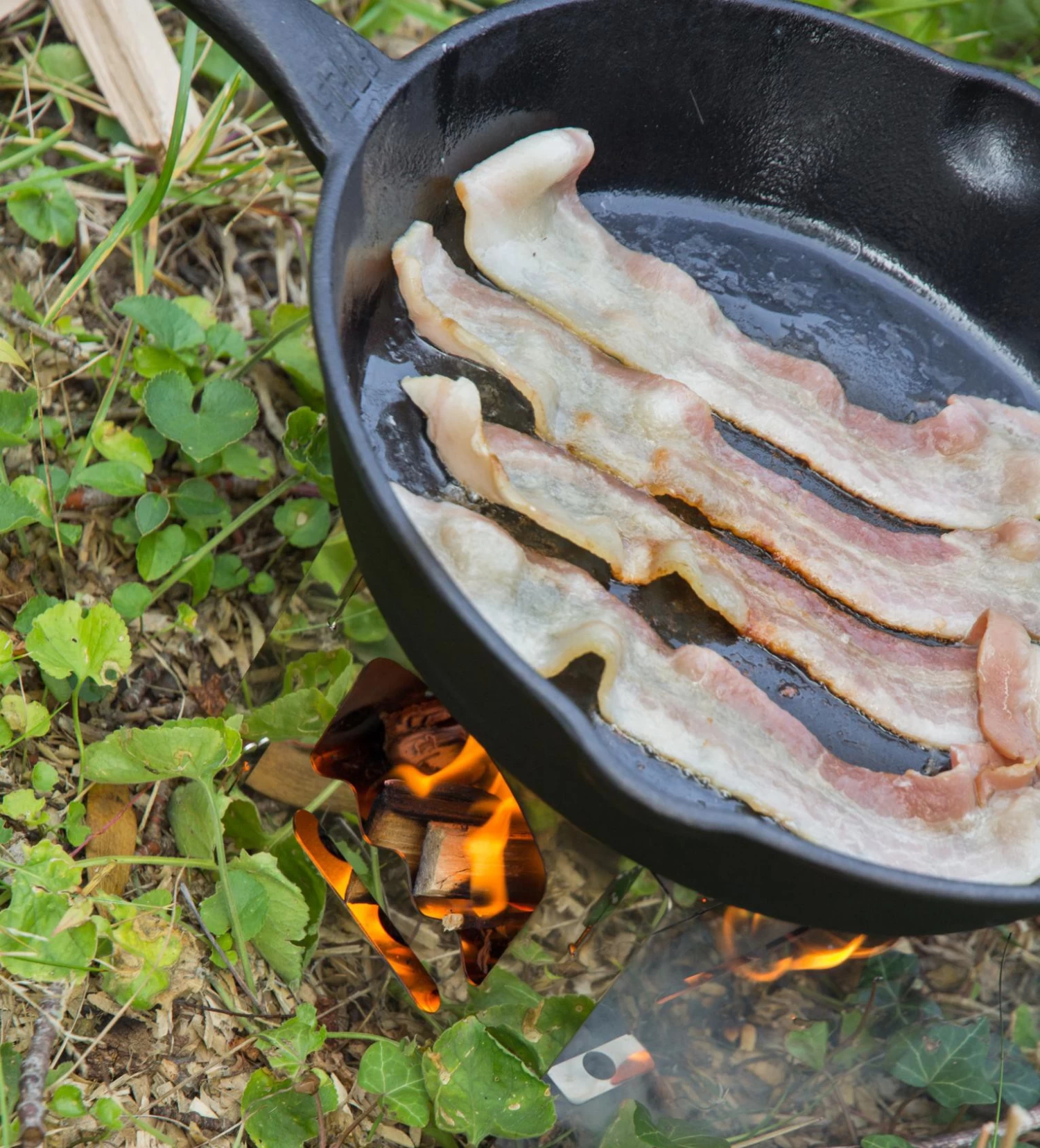 Feuerpfanne / Dutch Oven Petromax Fp25 Mit Stiel Ø25cm 2 Feuerpfanne / Dutch Oven Petromax Fp25 Mit Stiel Ø25cm – Bild 2